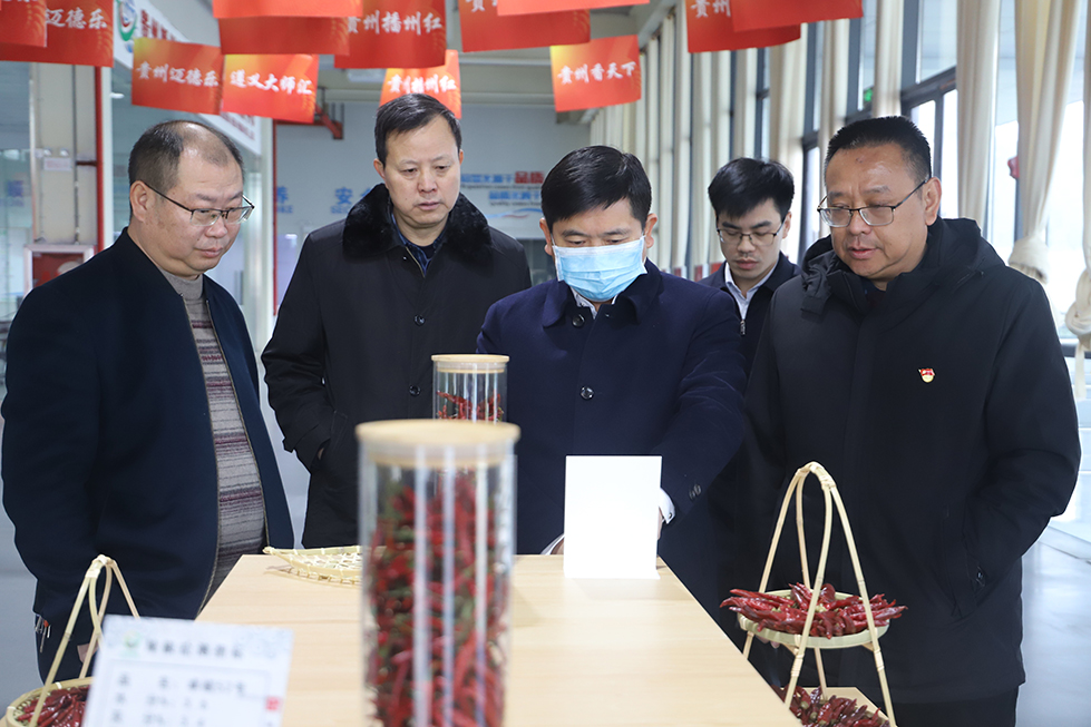【農投動態】| 副市長李勰到播州國際辣椒產業園調研