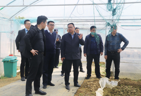 【農投動態】| 海亮明康匯生態農業集團副總裁李長江 到播州國際辣椒產業園參觀考察